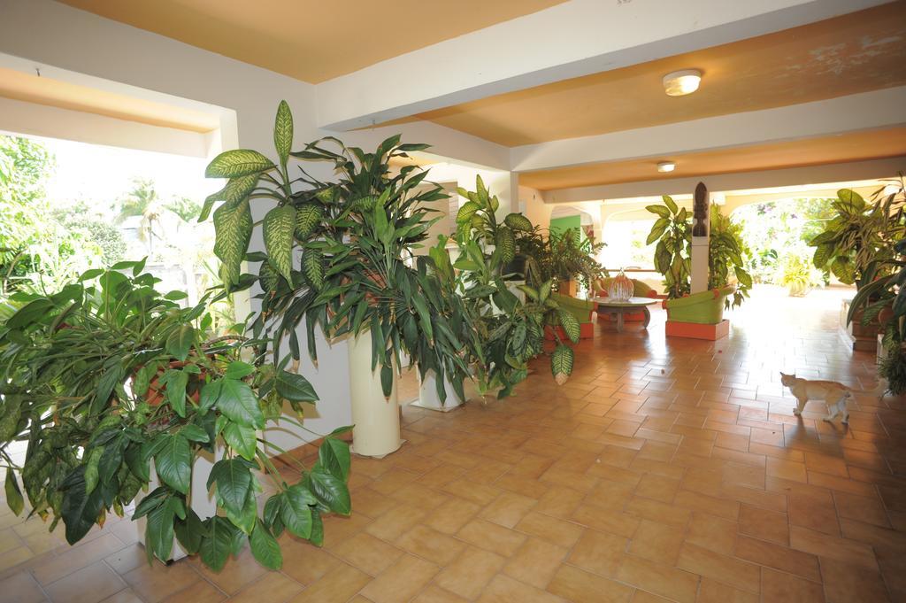 Au Domaine Des Bougainvilliers Villa Sainte-Rose Ngoại thất bức ảnh